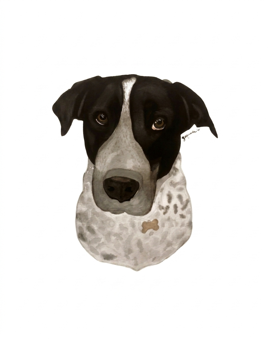 Dog Portrait